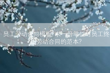 员工劳动合同模板?求一份单位与员工终止劳动合同的范本?