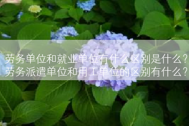 劳务单位和就业单位有什么区别是什么？劳务派遣单位和用工单位的区别有什么？