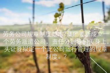 劳务公司规章制度范本?集团要新成立一个劳务派遣公司，责任分到我们头身上，头让我拟定一个此公司运行管理的规章制度。?