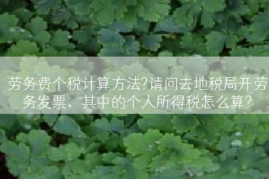 劳务费个税计算方法?请问去地税局开劳务发票，其中的个人所得税怎么算?