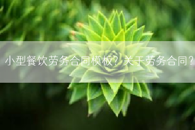 小型餐饮劳务合同模板？关于劳务合同？