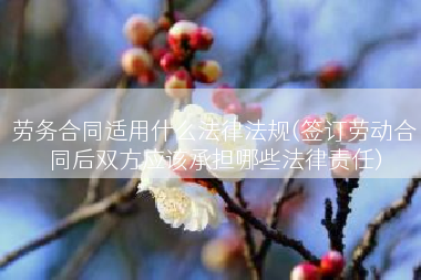 劳务合同适用什么法律法规(签订劳动合同后双方应该承担哪些法律责任)