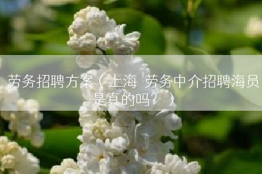 劳务招聘方案（上海  劳务中介招聘海员是真的吗？）