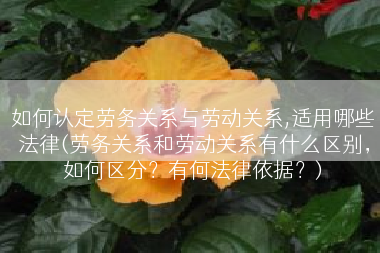 如何认定劳务关系与劳动关系,适用哪些法律(劳务关系和劳动关系有什么区别，如何区分？有何法律依据？)