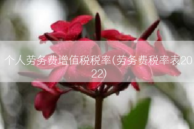 个人劳务费增值税税率(劳务费税率表2022)