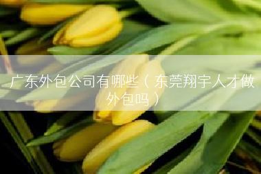 广东外包公司有哪些（东莞翔宇人才做外包吗）