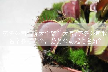 劳务公司名称大全简单大气?劳务公司取名字参考大全，劳务公司起啥名好?