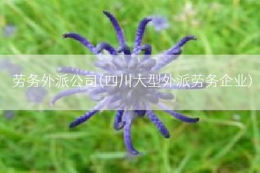 劳务外派公司(四川大型外派劳务企业)