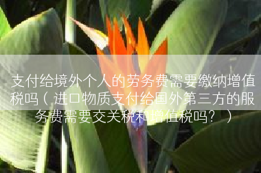 支付给境外个人的劳务费需要缴纳增值税吗（进口物质支付给国外第三方的服务费需要交关税和增值税吗？）