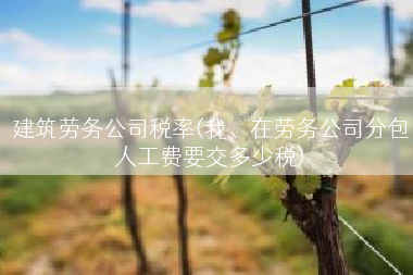 建筑劳务公司税率(我、在劳务公司分包人工费要交多少税)