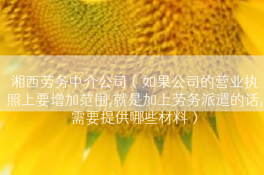 湘西劳务中介公司（如果公司的营业执照上要增加范围,就是加上劳务派遣的话,需要提供哪些材料）