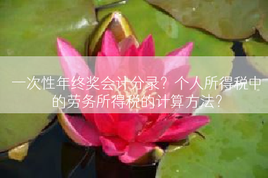 一次性年终奖会计分录？个人所得税中的劳务所得税的计算方法？