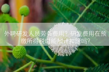 外聘研发人员劳务费用？研发费用在预缴所得税时能加计扣除吗？