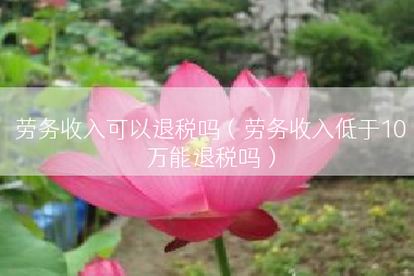 劳务收入可以退税吗（劳务收入低于10万能退税吗）