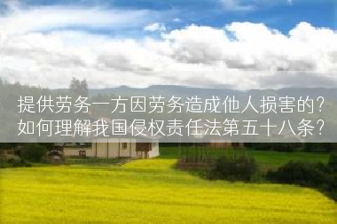 提供劳务一方因劳务造成他人损害的？如何理解我国侵权责任法第五十八条？