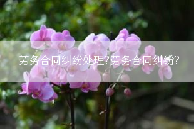 劳务合同纠纷处理?劳务合同纠纷?