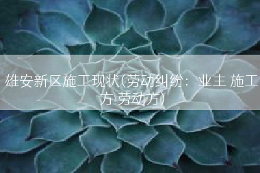 雄安新区施工现状(劳动纠纷：业主 施工方 劳动方)