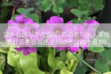 劳务公司与工人合同(劳动者与用人单位签订劳务合同还是劳动合同那个最好)