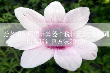 劳务报酬所得计算器个税精灵(劳务报酬所得税计算方法2010)