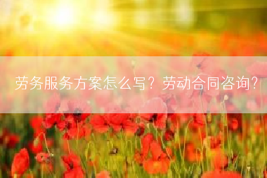 劳务服务方案怎么写？劳动合同咨询？