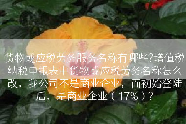 货物或应税劳务服务名称有哪些?增值税纳税申报表中货物或应税劳务名称怎么改，我公司不是商业企业，而初始登陆后，是商业企业（17%）?