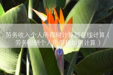 劳务收入个人所得税计算器在线计算（劳务报酬个人所得税如何计算）