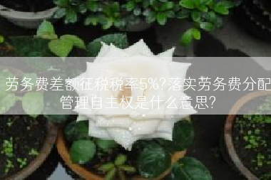 劳务费差额征税税率5%?落实劳务费分配管理自主权是什么意思?
