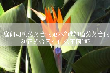 雇佣司机劳务合同范本?谁知道劳务合同和正式合同有什么不同啊?