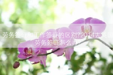 劳务签证和工作签证的区别?2014去英国劳务签证怎么办?