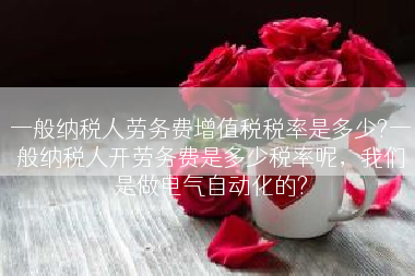 一般纳税人劳务费增值税税率是多少?一般纳税人开劳务费是多少税率呢，我们是做电气自动化的?