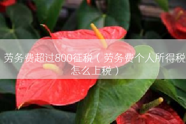 劳务费超过800征税（劳务费个人所得税怎么上税）