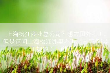 上海松江商业总公司？想去国外打工，但是请问上海松江哪里办理出国劳务(要正规的），谢谢。？
