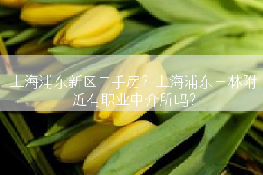 上海浦东新区二手房？上海浦东三林附近有职业中介所吗？