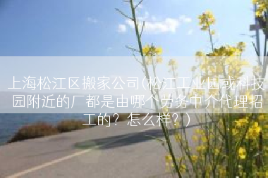 上海松江区搬家公司(松江工业园或科技园附近的厂都是由哪个劳务中介代理招工的？怎么样？)