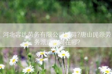 河北容达劳务有限公司妨碍?唐山民源劳务派遣公司在哪?
