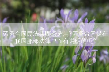 劳务合同民法典哪条适用?劳务合同是在我国那部法律里面有说明的呢?