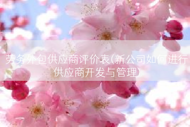 劳务外包供应商评价表(新公司如何进行供应商开发与管理)