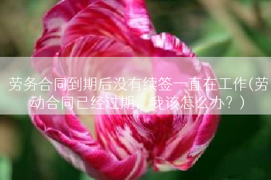 劳务合同到期后没有续签一直在工作(劳动合同已经过期，我该怎么办？)