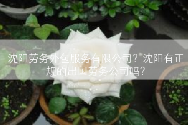 沈阳劳务外包服务有限公司？沈阳有正规的出国劳务公司吗？