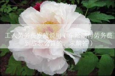 工人劳务费发放说明（车险赔付劳务费到底怎么算的，求解答）