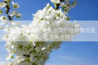 林地活立木承揽劳务合同？这种情况是承揽还是劳务合同？