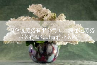 上海企浪劳务有限公司（上海通达劳务服务有限公司青浦业务部）