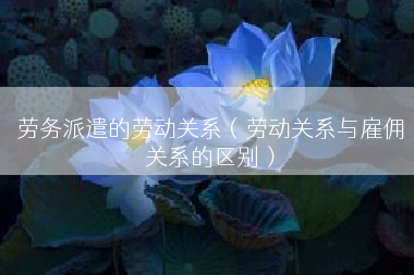 劳务派遣的劳动关系（劳动关系与雇佣关系的区别）
