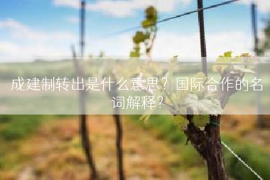 成建制转出是什么意思？国际合作的名词解释？