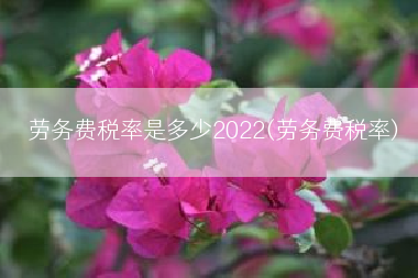 劳务费税率是多少2022(劳务费税率)