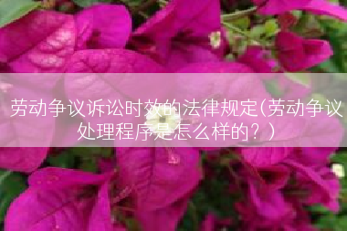 劳动争议诉讼时效的法律规定(劳动争议处理程序是怎么样的？)