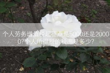 个人劳务增值税起征点是5000还是20000?个人所得税的税率是多少?