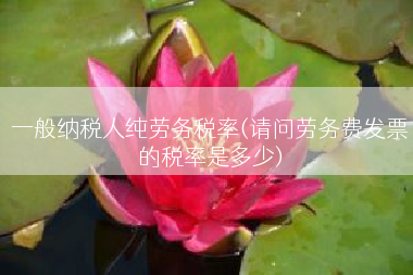 一般纳税人纯劳务税率(请问劳务费发票的税率是多少)