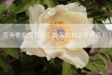 劳务费发放扣税？劳务费和工资的区别？