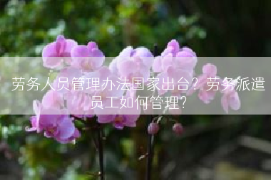 劳务人员管理办法国家出台？劳务派遣员工如何管理？